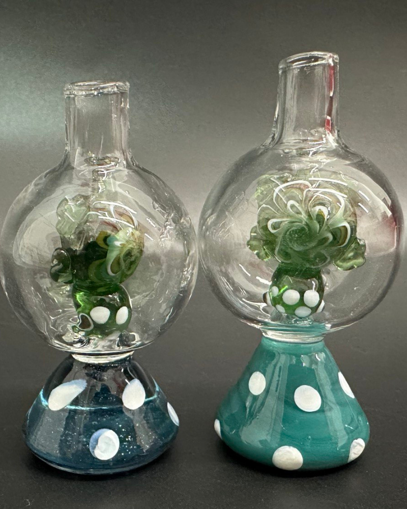 Plant inside bubble design